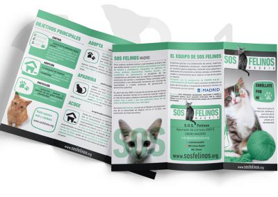 Tríptico SOS FELINOS