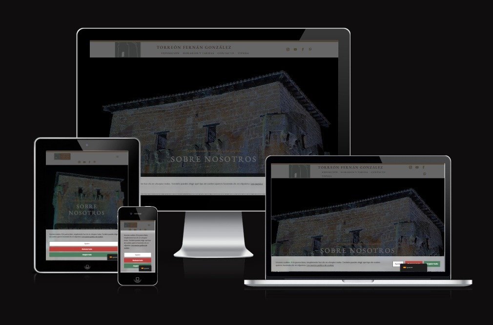 TORREON DE FERNAN GONZALEZ